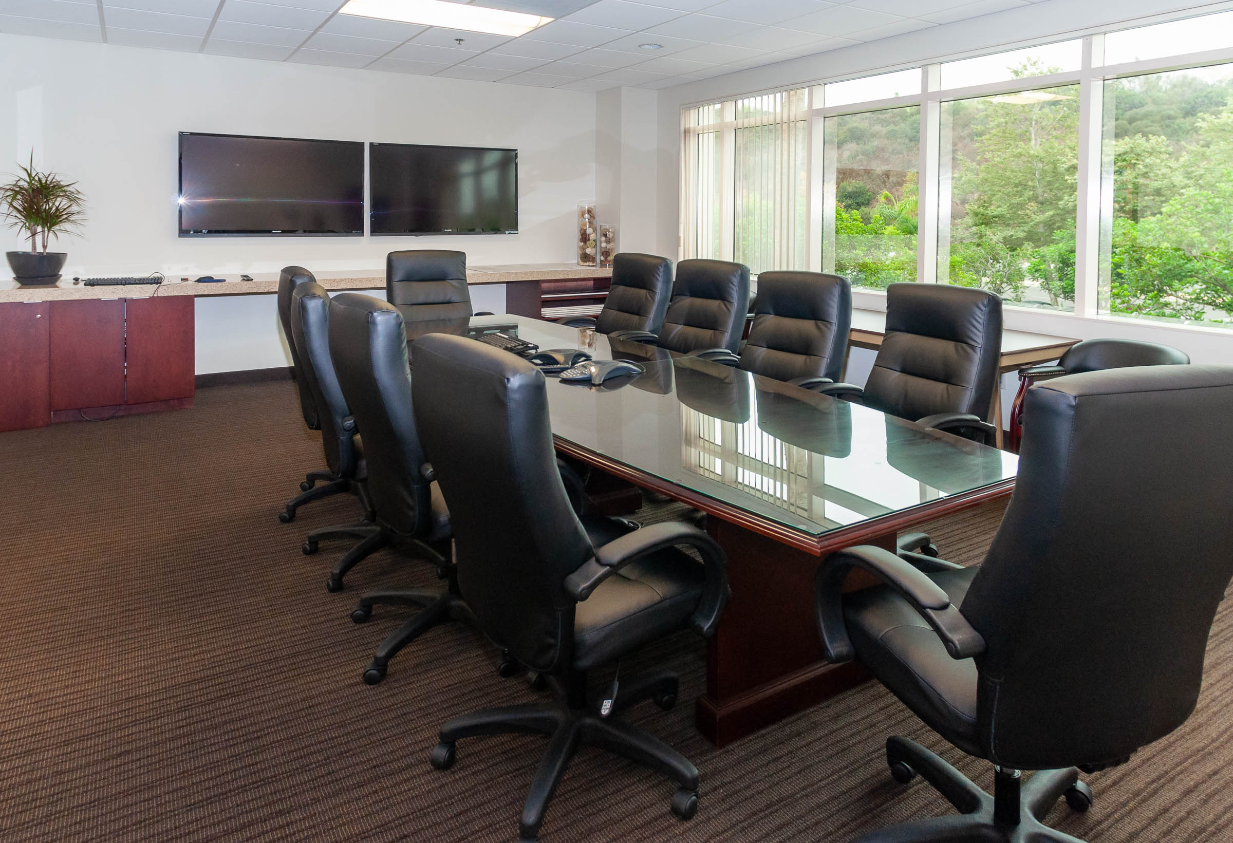 Healthcare Facility Conference Room Conference Room